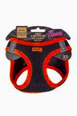 Havalı Dokuma Neon Serisi Küçük Irk Göğüs Tasması Xs Beden Turuncu 30-34 Cm