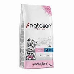 Anatolian premium Tavuk Etli Yavru Kedi Maması 10 Kg