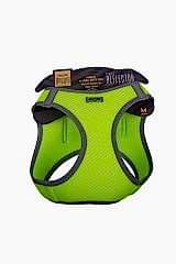 Havalı Dokuma Reflektör Küçük Irk Köpek Göğüs Tasması Medium Sarı 38-44 Cm - Petshopundan