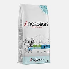 Anatolian Premium Mini Puppy Lamb Kuzulu Küçük Irk Yavru Köpek Maması 2 Kg