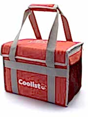 CL26R 26 Litre Katlanabilir Termos Bez Çanta / Buzluk