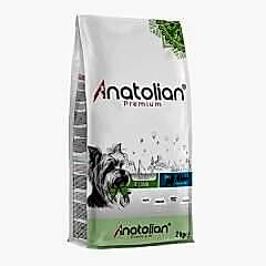 Anatolian Premium Kuzu Etli Küçük Irk Yetişkin Köpek Maması 2kg