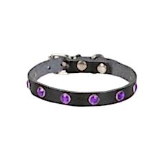 Cattie Gerçek Deriden Taşlı Kedi Boyun Tasması  1x20-23 Cm