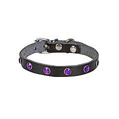 Cattie Gerçek Deriden Taşlı Kedi Boyun Tasması 1x16-20 Cm