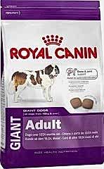Royal Canin Giant Adult 15 kg Dev Irk Yetişkin Köpek Maması